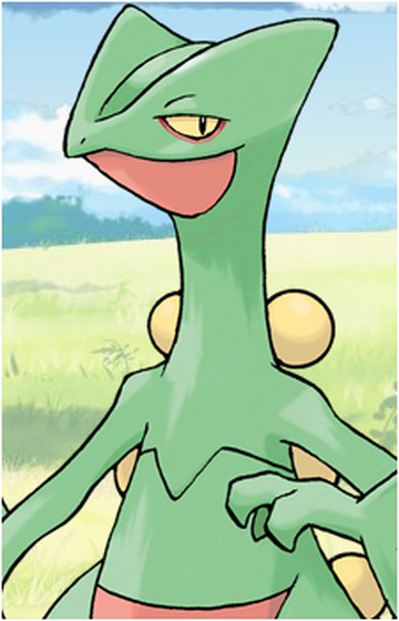 Treecko Gijinka