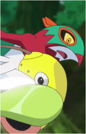 Hawlucha, Wiki Pokédex