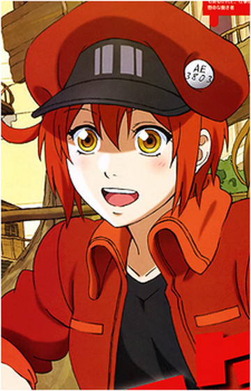 Red Blood Cell AE3803, Wiki