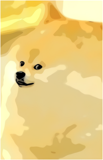 Shiba Inu  The Fandom Post