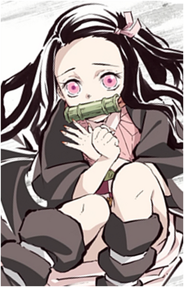 Nezuko Kamado, Wiki Herois