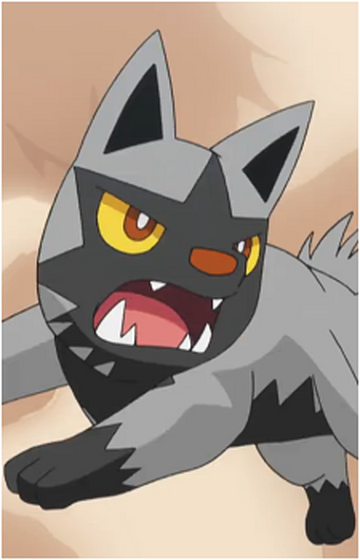 Random Pokemon Bot on X: Poochyena Ability: Rattled Moves: Scary Face,  Embargo, Hyper Voice, Return #pokemon #Poochyena  /  X