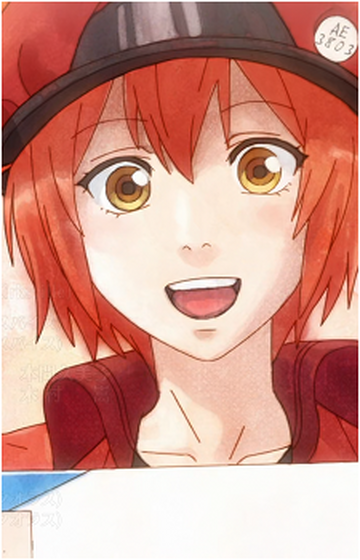 Red Blood Cell AE3803, Wiki