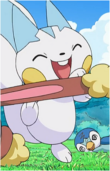 Dawn's Pachirisu - Bulbapedia, the community-driven Pokémon