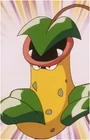 James' Victreebel (94 KB) James' Victreebel
