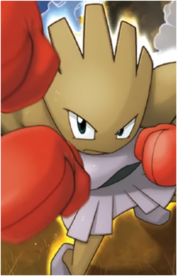 Tyrogue-Hitmonlee, In-Progress Pokemon Wiki