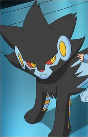 Clemont's Luxray #pokemon #anime #pokemonxyz #pokemonedits 