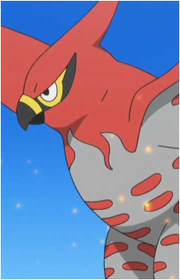 Talonflame, Wiki Pokédex