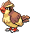 Pidgey