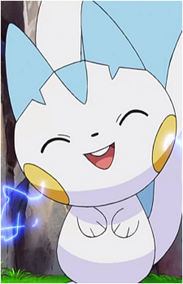 Dawn's Pachirisu, Pokémon Wiki