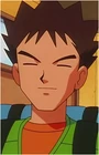 Brock (93 KB) Brock