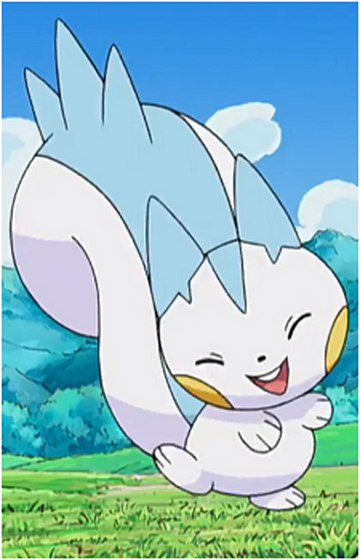 Dawn's Pachirisu - Bulbapedia, the community-driven Pokémon