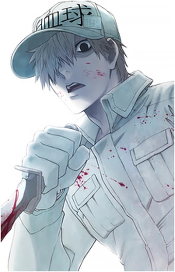 U-1146 | Mudae Wiki | Fandom