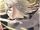 Corrin (M)