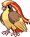 Pidgeot
