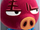 Rasher