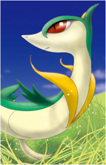 Gen 5 Unova Starters Snivy Servine Serperior Tepig 