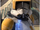 Commander Cody