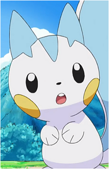 Dawn's Pachirisu - Bulbapedia, the community-driven Pokémon