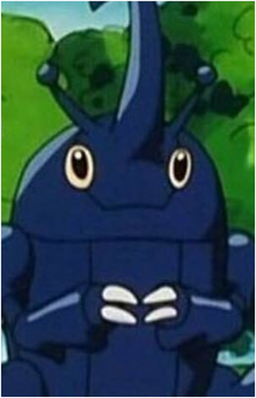 Heracross, Wiki Pokédex