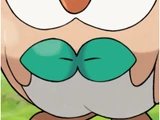 Rowlet