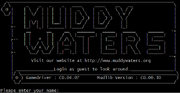 Muddy Waters screenshot