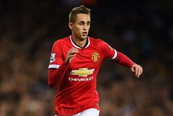 Adnan Januzaj