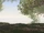 Shore of Misty Lake/Ouchi's version