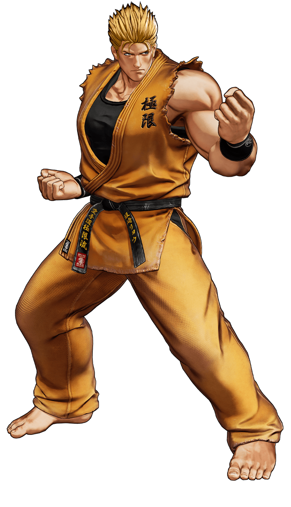 Fatal Fury Wild Ambition, ryo Sakazaki, fatal Fury, Ambition, M.U.G.E.N,  mugen, Street Fighter V, ryu, street Fighter, fighting Game