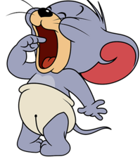 nibbles tom and jerry toy