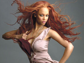 Tyra-tyra-banks-7529110-1024-768