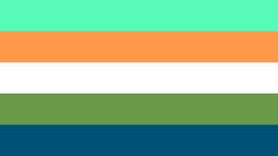 Partraumagenic flag plurgai 1