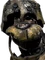 Infested Golden Freddy