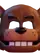 Virtual Freddy Mask