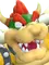 Bowser (SMG4)