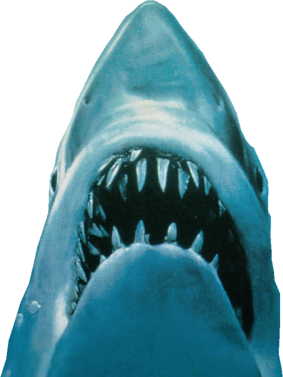 Bruce the Great White Shark | Multiverse fanon Wiki | Fandom