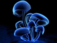 Blue Glowshrooms