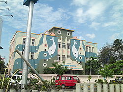 410.jpg