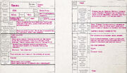 Riikira character sheet.jpg