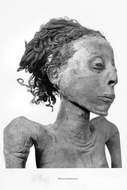 Mummy Nesitanebetashru Smith 1