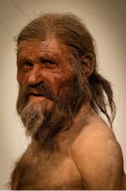 Otzi the iceman