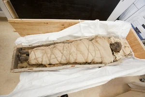 Mummy of the Redpath Museum's Theban Female (RM2717) at the Montreal Neuro Institute (courtesy: Nicolas Morin)
