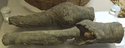 All that remains of Nefertari's presume mummy