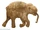 Lyuba (Mammoth Calf)