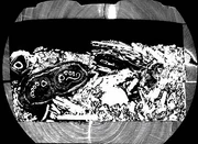 CT scan of coffin clearly showing the mummy's feet.