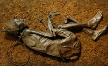 Tollund man