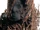 Chinchorro Mummies of Chile