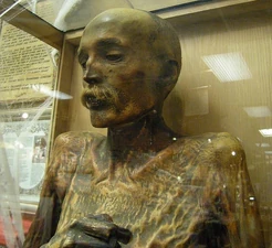 19th century mummy created with arsenic based embalming