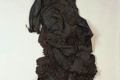 Meenybradden Woman | Mummipedia Wiki | Fandom