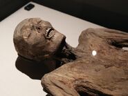 Baron Von Holz's Mummy